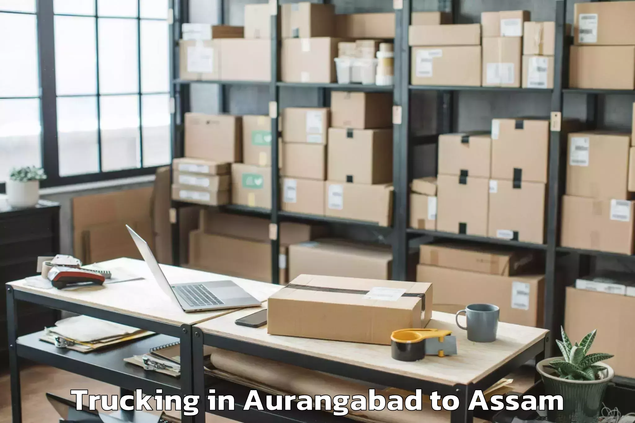 Book Aurangabad to Hojai Trucking Online